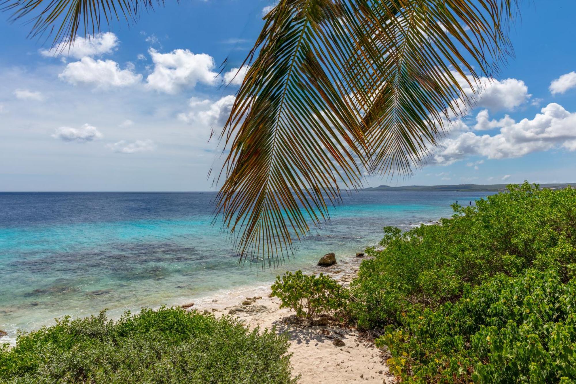 One Ocean Boutique Apartments & Suites Bonaire كراليندايك المظهر الخارجي الصورة