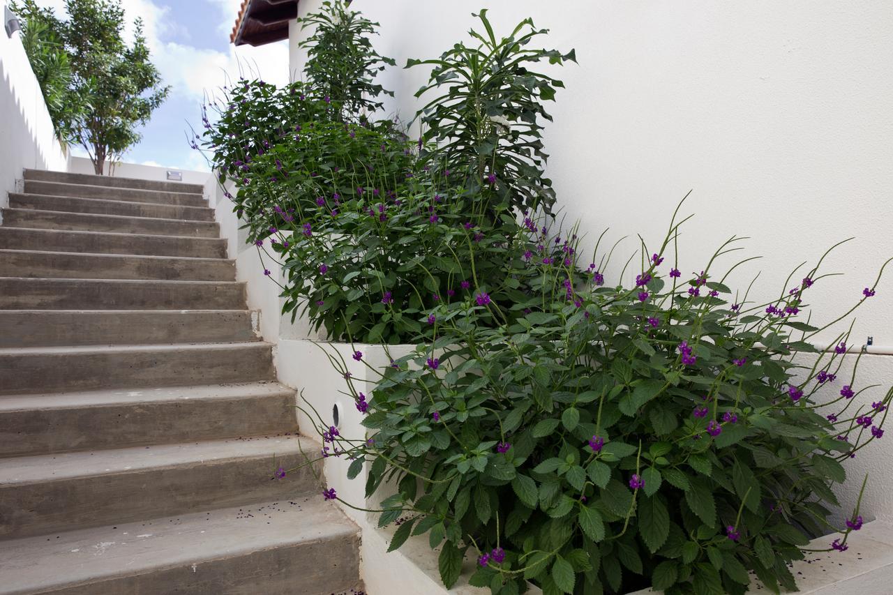 One Ocean Boutique Apartments & Suites Bonaire كراليندايك المظهر الخارجي الصورة
