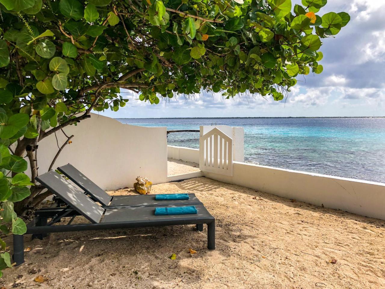 One Ocean Boutique Apartments & Suites Bonaire كراليندايك المظهر الخارجي الصورة